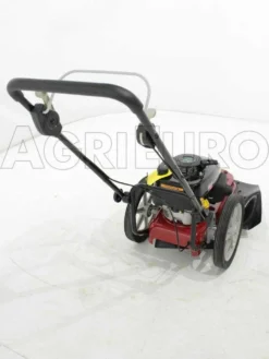 GeoTech DG 56 F - Decespugliatore A Ruote A Benzina 4 Tempi A Spinta -Cura Del Giardino geotech dg 56 f decespugliatore a ruote a benzina 4 tempi a spinta decespugliatore a ruote a benzina dg 56 f 5842 0 1402323509 IMG 8884