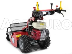 Ginko-MGM TT 786 - Trinciaerba Professionale A Martelli - Honda GX270 -Cura Del Giardino ginko mgm tt 786 trinciaerba professionale a martelli honda gx270 trinciaerba ginko mgm mod tt 786 10107 1 1487609065 IMG 6171