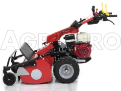 Ginko-MGM TT 786 - Trinciaerba Professionale A Martelli - Honda GX270 -Cura Del Giardino ginko mgm tt 786 trinciaerba professionale a martelli honda gx270 trinciaerba ginko mgm mod tt 786 10107 1 1487609069 IMG 6179