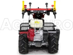 Ginko-MGM TT 886 - Trinciaerba Professionale A Martelli - Honda GX390 -Cura Del Giardino ginko mgm tt 886 trinciaerba professionale a martelli honda gx390 trinciaerba ginko mgm mod tt 886 10115 1 1487677991 IMG 6330