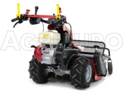 Ginko-MGM TT 886 - Trinciaerba Professionale A Martelli - Honda GX390 -Cura Del Giardino ginko mgm tt 886 trinciaerba professionale a martelli honda gx390 trinciaerba ginko mgm mod tt 886 10115 1 1487677991 IMG 6331