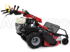 Ginko-MGM TT 886 - Trinciaerba Professionale A Martelli - Honda GX390 -Cura Del Giardino ginko mgm tt 886 trinciaerba professionale a martelli honda gx390 trinciaerba ginko mgm mod tt 886 10115 1 1487677992 IMG 6333