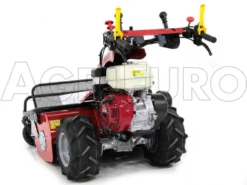 Ginko-MGM TT 886 - Trinciaerba Professionale A Martelli - Honda GX390 -Cura Del Giardino ginko mgm tt 886 trinciaerba professionale a martelli honda gx390 trinciaerba ginko mgm mod tt 886 10115 1 1487677996 IMG 6332