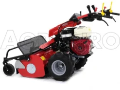 Ginko-MGM TT 886 - Trinciaerba Professionale A Martelli - Honda GX390 -Cura Del Giardino ginko mgm tt 886 trinciaerba professionale a martelli honda gx390 trinciaerba ginko mgm mod tt 886 10115 1 1487677997 IMG 6341