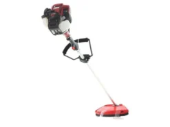 Honda GX 35 I - Decespugliatore A Benzina 4 Tempi - Asta Blue Bird 22 Honda GX 35 I - Decespugliatore A Benzina 4 Tempi - Asta Blue Bird -Cura Del Giardino honda gx 35 i decespugliatore a benzina 4 tempi asta blue bird il decespugliatore honda gx 35 33957 6 1649688184 IMG 62543e7814039