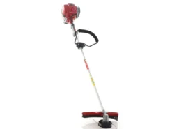 Honda GX 35 I - Decespugliatore A Benzina 4 Tempi - Asta Blue Bird 26 Honda GX 35 I - Decespugliatore A Benzina 4 Tempi - Asta Blue Bird -Cura Del Giardino honda gx 35 i decespugliatore a benzina 4 tempi asta blue bird il decespugliatore honda gx 35 33957 6 1649688184 IMG 62543e7816bb3