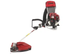 Honda GX 50 ZP - Decespugliatore A Zaino A Benzina 4 Tempi - Asta Blue Bird -Cura Del Giardino honda gx 50 zp decespugliatore a zaino a benzina 4 tempi asta blue bird decespugliatore honda gx 50 21924 24 1579623606 IMG 9890