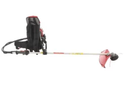 Honda GX 50 ZP - Decespugliatore A Zaino A Benzina 4 Tempi - Asta Blue Bird -Cura Del Giardino honda gx 50 zp decespugliatore a zaino a benzina 4 tempi asta blue bird decespugliatore honda gx 50 21924 24 1579623606 IMG 9892