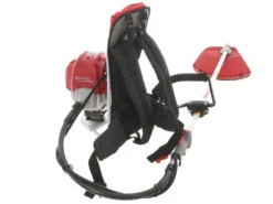 Honda GX 50 ZP - Decespugliatore A Zaino A Benzina 4 Tempi - Asta Blue Bird -Cura Del Giardino honda gx 50 zp decespugliatore a zaino a benzina 4 tempi asta blue bird decespugliatore honda gx 50 21924 24 1579623606 IMG 9894