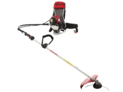 Honda GX 50 ZP - Decespugliatore A Zaino A Benzina 4 Tempi - Asta Blue Bird -Cura Del Giardino honda gx 50 zp decespugliatore a zaino a benzina 4 tempi asta blue bird decespugliatore honda gx 50 21924 24 1579623606 IMG 9897