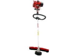 Kawasaki TJ 53 E I - Decespugliatore A Scoppio Professionale - Asta Blue Bird -Cura Del Giardino kawasaki tj 53 e i decespugliatore a scoppio professionale asta blue bird il decespugliatore kawasaki tj 53 e i 3058 3 1662992696 IMG 631f4138cd4ea