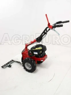 Motofalciatrice Bilama Eurosystems M210 - Motore B&S 450E -Cura Del Giardino motofalciatrice bilama eurosystems m210 motore b s 450e presentazione motofalciatrice bilama eurosystems m210 4004 0 1393930889 IMG 1194
