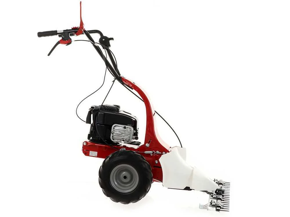 Motofalciatrice Monolama Eurosystems M90 - Motore B&S 625 EXi 10 Motofalciatrice Monolama Eurosystems M90 - Motore B&S 625 EXi - immagine 10
