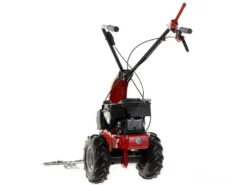 Motofalciatrice Monolama Eurosystems M90 - Motore B&S 625 EXi 22 Motofalciatrice Monolama Eurosystems M90 - Motore B&S 625 EXi -Cura Del Giardino motofalciatrice monolama eurosystems m90 motore b s 625 exi motofalciatrice eurosystems m90 25530 10 1602591417 IMG 5f859ab9c3d59