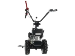 Motofalciatrice Multifunzione Bilama Eurosystems P55 - Motore Honda GCVX 170 -Cura Del Giardino motofalciatrice multifunzione bilama eurosystems p55 motore honda gcvx 170 motofalciatrice eurosystems p55 24140 0 1593425849 IMG 5ef9bfb9bb973