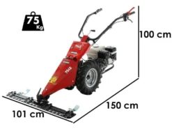 Motofalciatrice Multifunzione Ginko MGM FC 754 E - Honda GX160 -Cura Del Giardino motofalciatrice multifunzione ginko mgm fc 754 e honda gx160 motofalciatrice ginko mgm fc 754 e 41264 0 1681218063 IMG 64355a0f48ef7