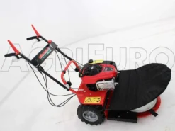 Motofalciatrici Con Lame Rotanti Alhambra - Motore B&S 850 -Cura Del Giardino motofalciatrici con lame rotanti alhambra motore b s 850 motofalciatrice alhambra con motore briggs stratton 1238 0 1390563252 IMG 6841