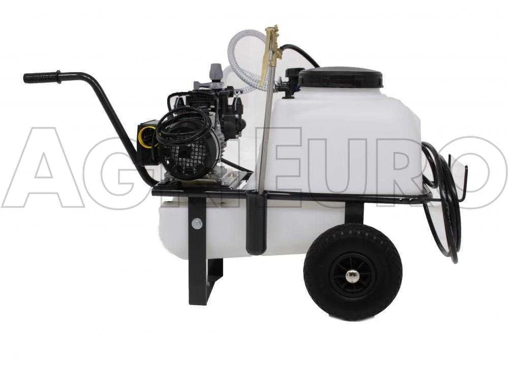 Motopompa Irrorazione Comet MC 20/20-motore Elettrico Monofase Su Carrello Serbatoio 50 Lt 5 Motopompa Irrorazione Comet MC 20/20-motore Elettrico Monofase Su Carrello Serbatoio 50 Lt - immagine 5