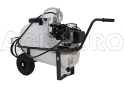 Motopompa Irrorazione Comet MC 20/20-motore Elettrico Monofase Su Carrello Serbatoio 50 Lt 19 Motopompa Irrorazione Comet MC 20/20-motore Elettrico Monofase Su Carrello Serbatoio 50 Lt -Cura Del Giardino motopompa irrorazione comet mc 20 20 motore elettrico monofase su carrello serbatoio 50 lt pompa irrorazione con serbatoio 50 lt comet mc 20 20 10775 1 1498222802 IMG 9371