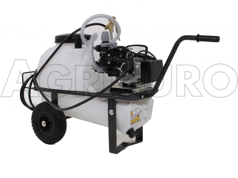 Motopompa Irrorazione Comet MC 20/20-motore Elettrico Monofase Su Carrello Serbatoio 50 Lt 7 Motopompa Irrorazione Comet MC 20/20-motore Elettrico Monofase Su Carrello Serbatoio 50 Lt - immagine 7