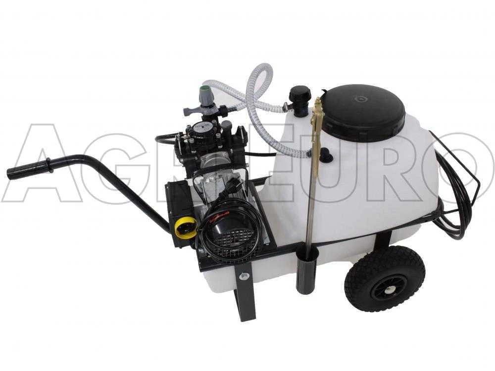 Motopompa Irrorazione Comet MC 20/20-motore Elettrico Monofase Su Carrello Serbatoio 50 Lt 9 Motopompa Irrorazione Comet MC 20/20-motore Elettrico Monofase Su Carrello Serbatoio 50 Lt - immagine 9