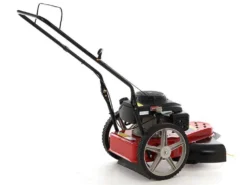 MTD WST 5522 - Decespugliatore A Ruote A Benzina 4 Tempi A Spinta -Cura Del Giardino mtd wst 5522 decespugliatore a ruote a benzina 4 tempi a spinta decespugliatore a ruote a benzina mtd wst 5522 16258 0 1555320270 IMG 0289