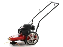 MTD WST 5522 - Decespugliatore A Ruote A Benzina 4 Tempi A Spinta -Cura Del Giardino mtd wst 5522 decespugliatore a ruote a benzina 4 tempi a spinta decespugliatore a ruote a benzina mtd wst 5522 16258 0 1555320270 IMG 0301