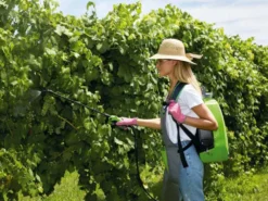 Pompa Irroratrice A Batteria A Spalla Verdemax FUTURA 16L Batteria Al Litio 12V 2.5Ah -Cura Del Giardino pompa irroratrice a batteria a spalla verdemax futura 16l batteria al litio 12v 2 5ah pompa irroratrice a zaino elettrica verdemax futura 16 l 29742 1 1623232379 IMG 60c08f7ba0776