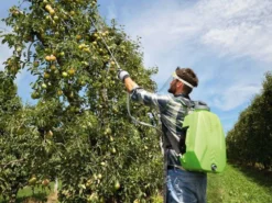 Pompa Irroratrice A Batteria A Spalla Verdemax FUTURA PRO 16L Batteria Al Litio 18V 2.5Ah 21 Pompa Irroratrice A Batteria A Spalla Verdemax FUTURA PRO 16L Batteria Al Litio 18V 2.5Ah -Cura Del Giardino pompa irroratrice a batteria a spalla verdemax futura pro 16l batteria al litio 18v 2 5ah pompa a zaino a batteria verdemax futura pro 16l 29749 1 1623234693 IMG 60c09885cc8fc