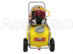 Pompa Irroratrice A Scoppio Carrellata GeoTech SP 540 4S - 4 Tempi A Benzina 18 Pompa Irroratrice A Scoppio Carrellata GeoTech SP 540 4S - 4 Tempi A Benzina -Cura Del Giardino pompa irroratrice a scoppio carrellata geotech sp 540 4s 4 tempi a benzina pompa irrorazione a carrello geotech da 50 litri 9457 0 1478259439 IMG 7978