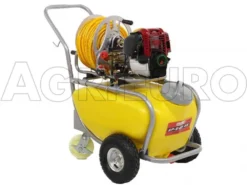 Pompa Irroratrice A Scoppio Carrellata GeoTech SP 540 4S - 4 Tempi A Benzina 21 Pompa Irroratrice A Scoppio Carrellata GeoTech SP 540 4S - 4 Tempi A Benzina -Cura Del Giardino pompa irroratrice a scoppio carrellata geotech sp 540 4s 4 tempi a benzina pompa irrorazione a carrello geotech da 50 litri 9457 0 1478259442 IMG 7977