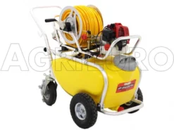 Pompa Irroratrice A Scoppio Carrellata In Alluminio GeoTech SP 550 2S ALU - 2 Tempi A Miscela -Cura Del Giardino pompa irroratrice a scoppio carrellata in alluminio geotech sp 550 2s alu 2 tempi a miscela pompa irrorazione a carrello geotech da 50 litri 9257 0 1474354467 IMG 4524