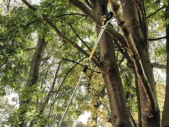 Potatore A Batteria Con Prolunga Elettrico DeWalt DCMPS567P1-QW - 18V - 5AH 23 Potatore A Batteria Con Prolunga Elettrico DeWalt DCMPS567P1-QW - 18V - 5AH -Cura Del Giardino potatore a batteria con prolunga elettrico dewalt dcmps567p1 qw 18v 5ah il potatore elettrico dewalt dcmps567p1 qw 28932 9 1620640513 IMG 60990301d4997