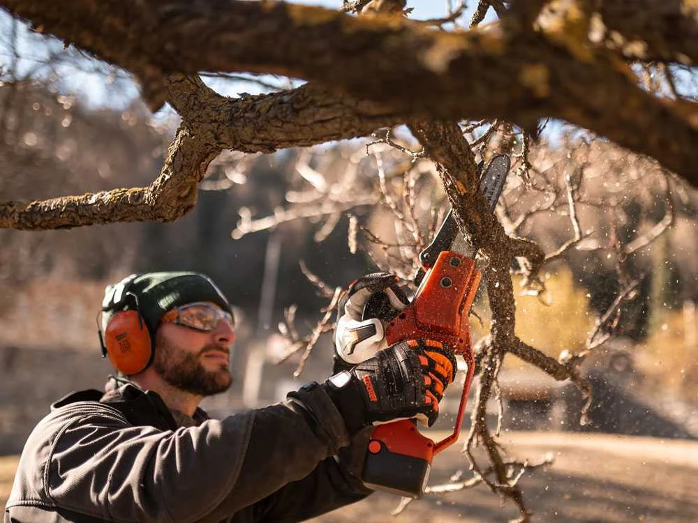 Potatore A Batteria Stocker MAGMA E-200 LA - 21.6V 2.6 AH 5 Potatore A Batteria Stocker MAGMA E-200 LA - 21.6V 2.6 AH - immagine 5