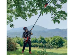 Potatore A Batteria Su Asta Einhell GC-LC 18/20 Li T - 18V 5.2Ah -Cura Del Giardino potatore a batteria su asta einhell gc lc 18 20 li t 18v 5 2ah potatore a batteria einhell gc lc 18 20 li t 37810 0 1664870364 IMG 633be7dcb5dda