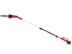 Potatore A Batteria Su Asta Telescopica Blue Bird R3S 40V - Fino A 4m Con Operatore -Cura Del Giardino potatore a batteria su asta telescopica blue bird r3s 40v fino a 4m con operatore potatore a batteria su asta telescopica blue bird r3s 40v 21479 0 1574699809 IMG 0275