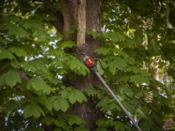 Potatore A Batteria Su Asta Telescopica HENX H36GZ12040 - 40V - SENZA CARICABATTERIA E BATTERIA -Cura Del Giardino potatore a batteria su asta telescopica henx h36gz12040 40v senza caricabatteria e batteria potatore henx h36gz12040 27530 5 1615477714 IMG 604a3bd2218f8