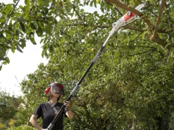 Potatore A Batteria Su Asta Telescopica IKRA ICPS 2020 -Cura Del Giardino potatore a batteria su asta telescopica ikra icps 2020 il potatore a batteria ikra icps 2020 27865 1 1617093983 IMG 6062e55f58ea1