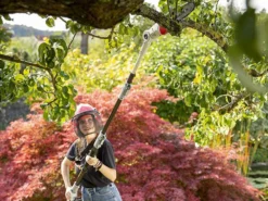 Potatore A Batteria Su Asta Telescopica IKRA ICPS 2020 -Cura Del Giardino potatore a batteria su asta telescopica ikra icps 2020 il potatore a batteria ikra icps 2020 27865 1 1617093983 IMG 6062e55f65511