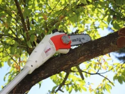 Potatore Elettrico IKRA IEAS 750 Con Asta Telescopica- Sega A Catena -Cura Del Giardino potatore elettrico ikra ieas 750 con asta telescopica sega a catena il potatore elettrico ikra ieas 750 18219 1 1570007580 18213 5 1570001070 71qNdUlb4EL