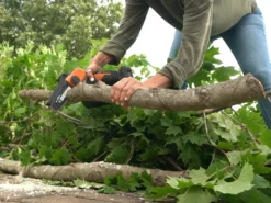 Potatore Manuale A Batteria Worx WG324E 20 V 2 Ah -Cura Del Giardino potatore manuale a batteria worx wg324e 20 v 2 ah potatore manuale a batteria worx wg324e 27854 0 1617026837 IMG 6061df1589704