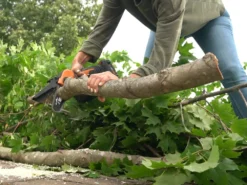 Potatore Manuale A Batteria Worx WG324E 20 V 2 Ah -Cura Del Giardino potatore manuale a batteria worx wg324e 20 v 2 ah potatore manuale a batteria worx wg324e 27854 0 1617026837 IMG 6061df158ea27