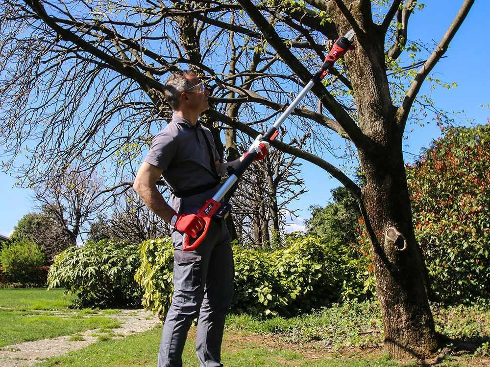 Potatore Su Asta Di Prolunga A Batteria Valex M-SCT18 - SENZA BATTERIE E CARICABATTERIE 3 Potatore Su Asta Di Prolunga A Batteria Valex M-SCT18 - SENZA BATTERIE E CARICABATTERIE - immagine 3