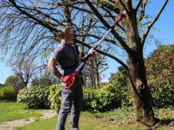 Potatore Su Asta Di Prolunga Telescopica A Batteria Valex M-SCT18 - 18V 2Ah -Cura Del Giardino potatore su asta di prolunga telescopica a batteria valex m sct18 18v 2ah potatore su asta di prolunga telescopica a batteria valex m sct18 39264 5 1673275356 IMG 63bc27dc037cd