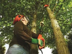 Potatore Telescopico Elettrico Su Asta Di Prolunga Regolabile Black & Decker PS7525-QS -Cura Del Giardino potatore telescopico elettrico su asta di prolunga regolabile black decker ps7525 qs il potatore elettrico black decker ps7525 qs 17421 5 1565011158 61SLQgS52SL