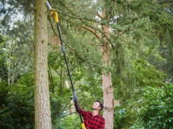 Potatore Telescopico STANLEY FATMAX V20 Su Asta Di Prolunga Regolabile - Batteria 18V 4AH -Cura Del Giardino potatore telescopico stanley fatmax v20 su asta di prolunga regolabile batteria 18v 4ah il potatore elettrico stanley fatmax v20 28810 5 1620133494 IMG 609146768dbca