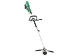 Ribimex PRBAT20-DEBTSB - Decespugliatore Elettrico A Batteria - 2x 20V - 4Ah -Cura Del Giardino ribimex prbat20 debtsb decespugliatore elettrico a batteria 2x 20v 4ah decespugliatore ribimex prbat20 debtsb 36341 5 1661509335 IMG 63089ed76f1f5