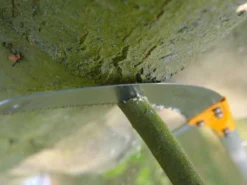 Seghetto Professionale Su Asta Telescopica In Alluminio Silky Hayate 6100 17 Seghetto Professionale Su Asta Telescopica In Alluminio Silky Hayate 6100 -Cura Del Giardino seghetto professionale su asta telescopica in alluminio silky hayate 6100 seghetto professionale su asta telescopica in alluminio silky hayate 6100 27778 1 1616668731 IMG 605c683bb779e