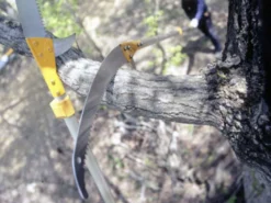 Seghetto Professionale Su Asta Telescopica In Alluminio Silky Hayate 6100 18 Seghetto Professionale Su Asta Telescopica In Alluminio Silky Hayate 6100 -Cura Del Giardino seghetto professionale su asta telescopica in alluminio silky hayate 6100 seghetto professionale su asta telescopica in alluminio silky hayate 6100 27778 1 1616668731 IMG 605c683bb98ec