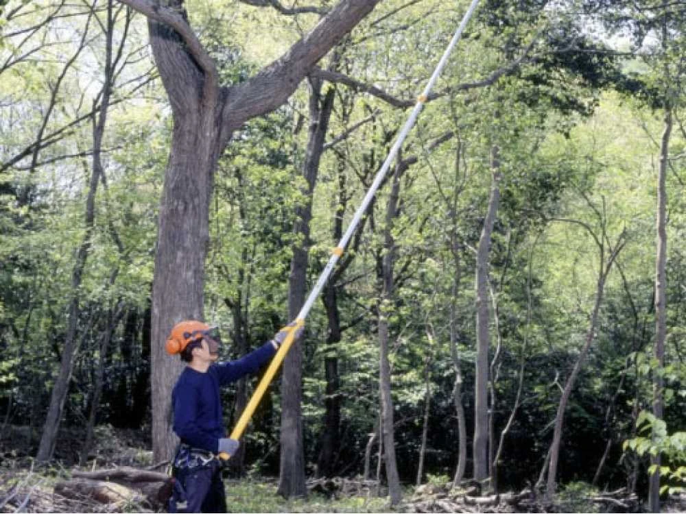 Seghetto Professionale Su Asta Telescopica In Alluminio Silky Hayate 6100 10 Seghetto Professionale Su Asta Telescopica In Alluminio Silky Hayate 6100 - immagine 10